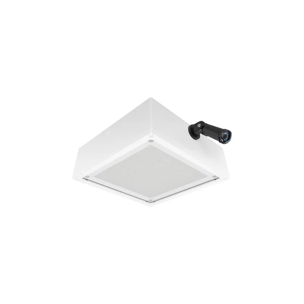 [RAB Lighting] VANLED10FFRW/PCS