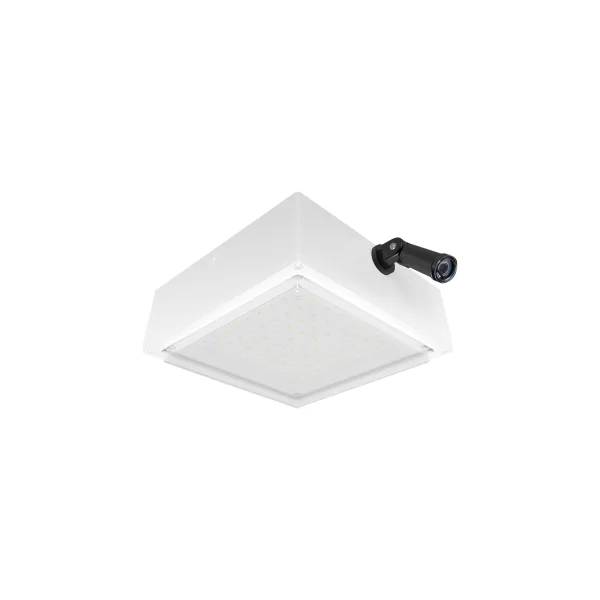[RAB Lighting] VANLED10FRW/PCS2