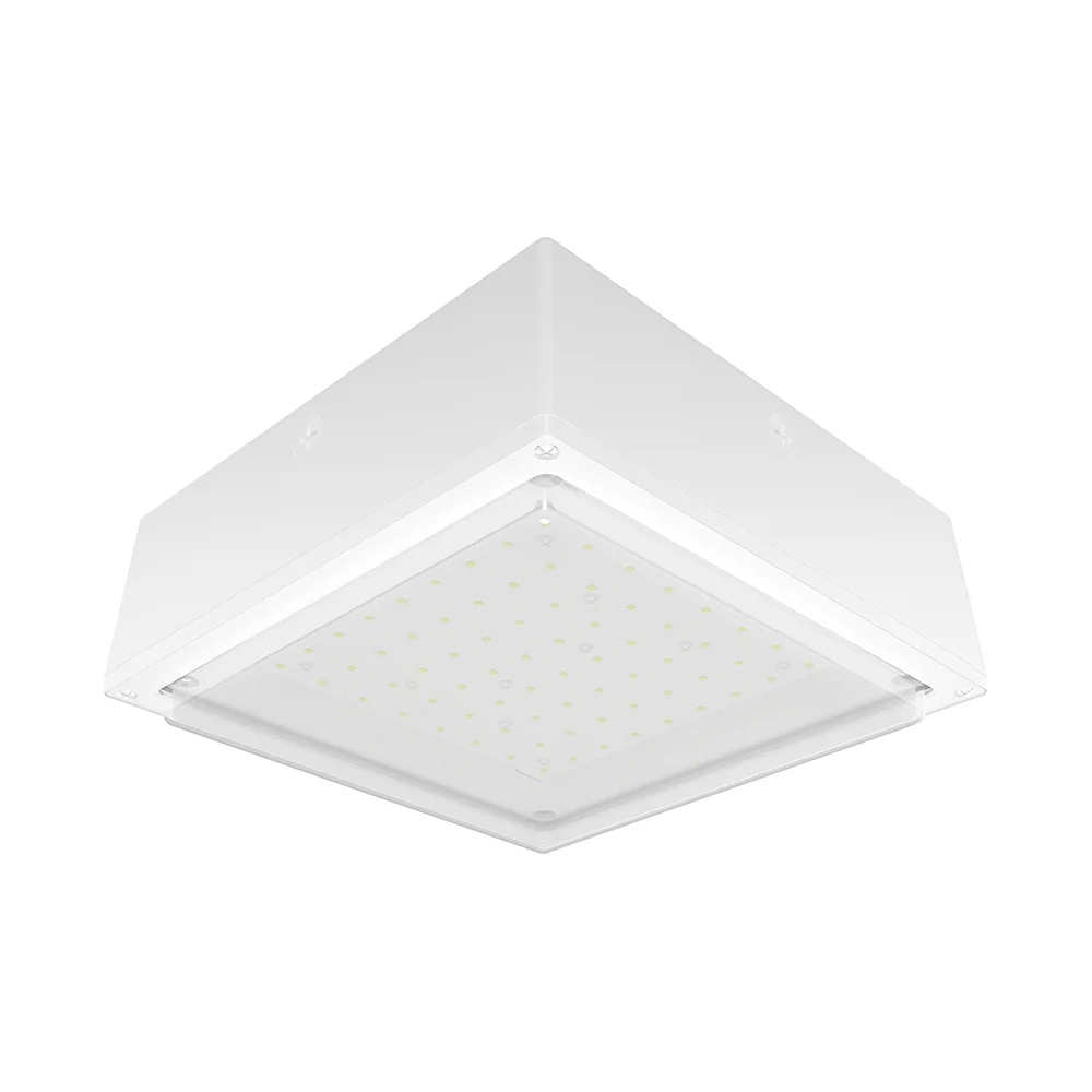 [RAB Lighting] VANLED10NFRW
