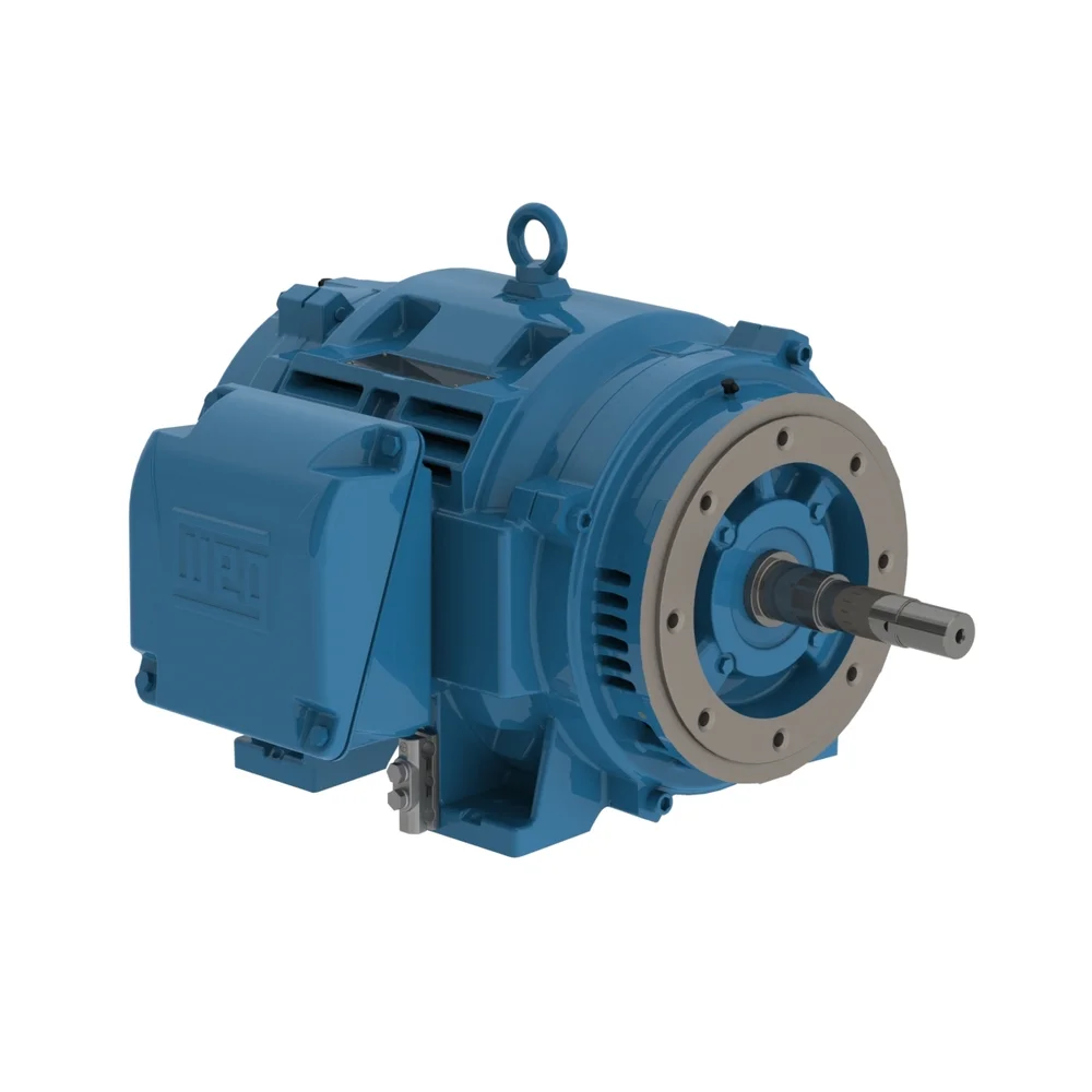 [WEG] 10036OT3E365JP-W40