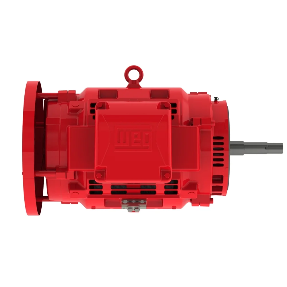 [WEG] 10018OP3VFP404JPV-W4