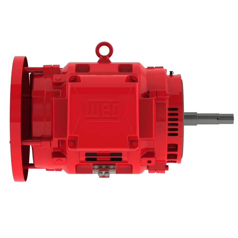 [WEG] 10036OP3VFP365JPV-W4