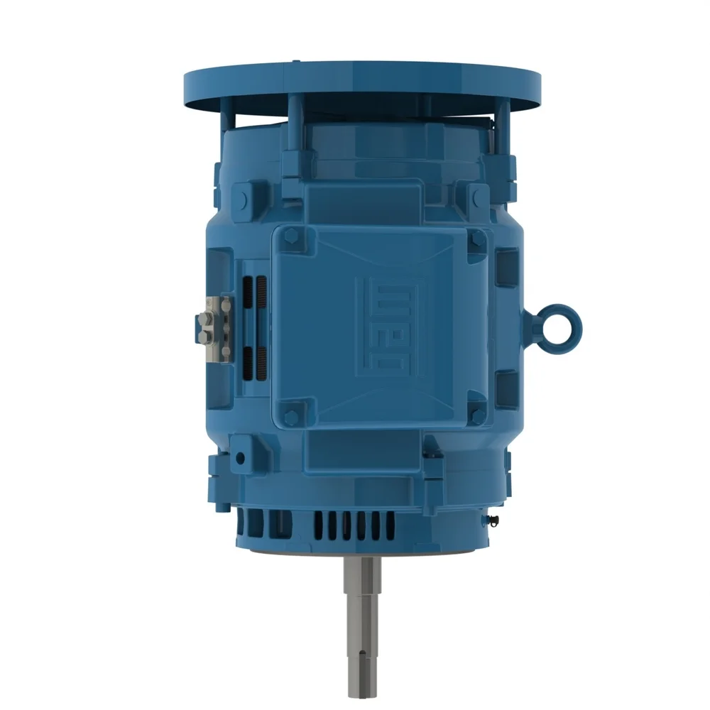 [WEG] 10036OT3E365JPV-W40