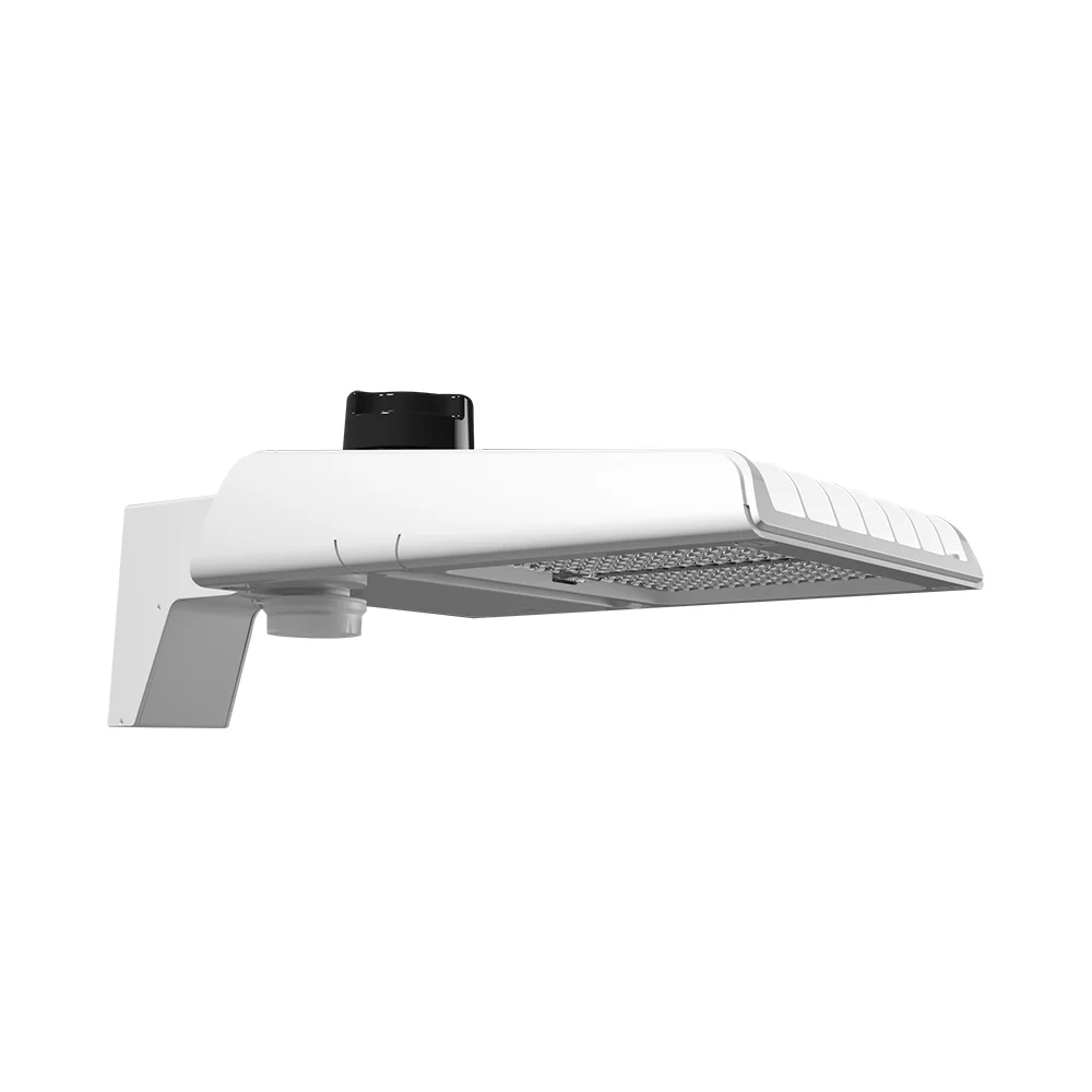 [RAB Lighting] A22-100W/480/MVS