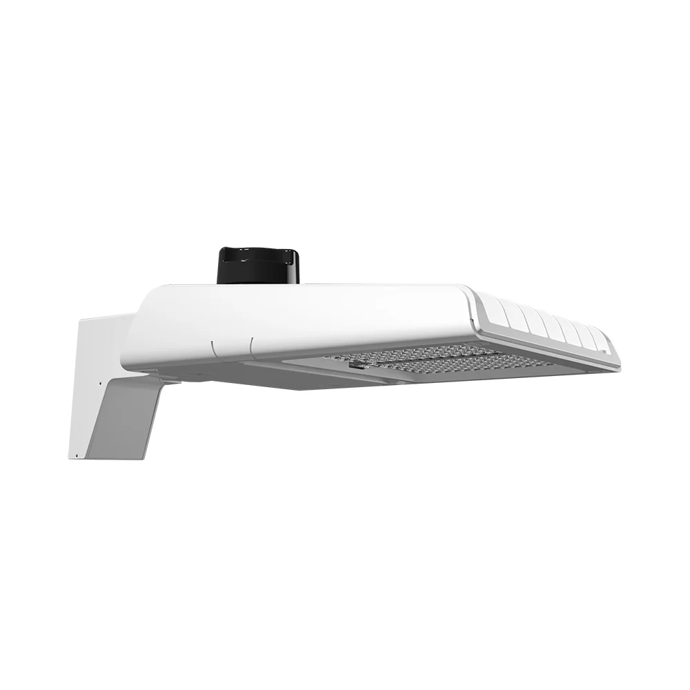 [RAB Lighting] A22-2T100W/480