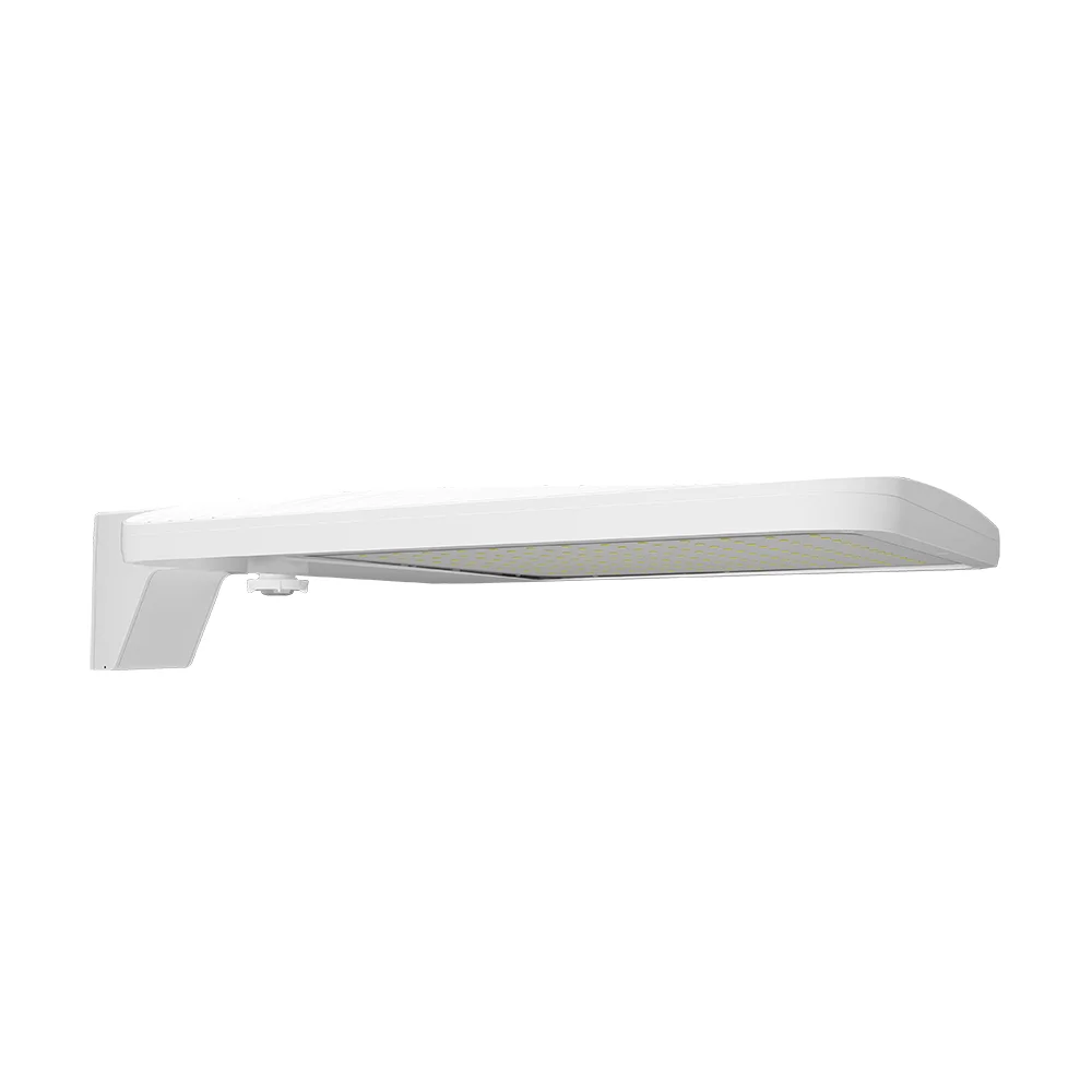 [RAB Lighting] ALEDXLATNW/480/WS2