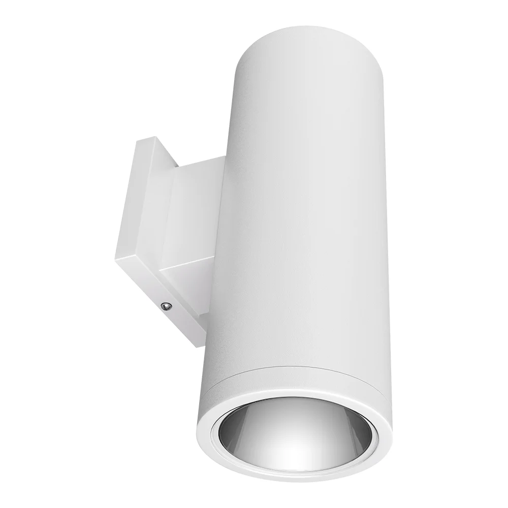 [RAB Lighting] CDLED4WD-20W-80D950-W