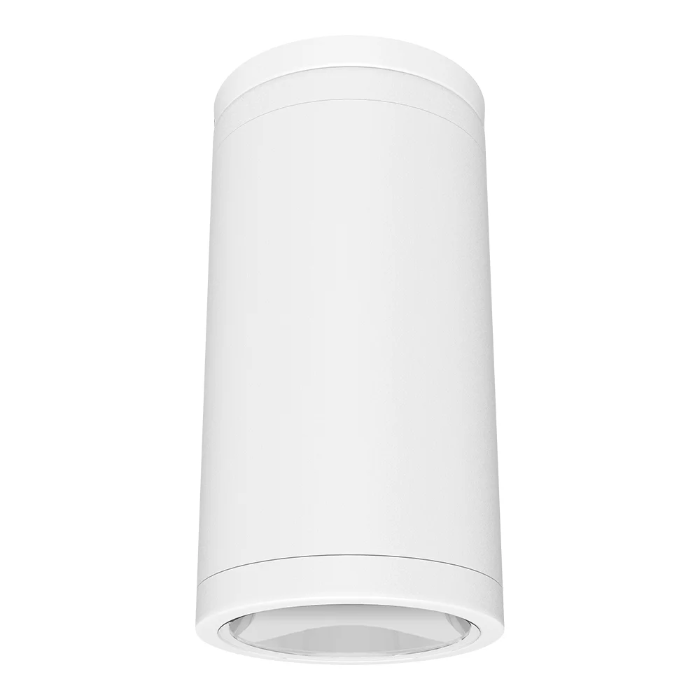 [RAB Lighting] CDLED4S-20W-50D950-W