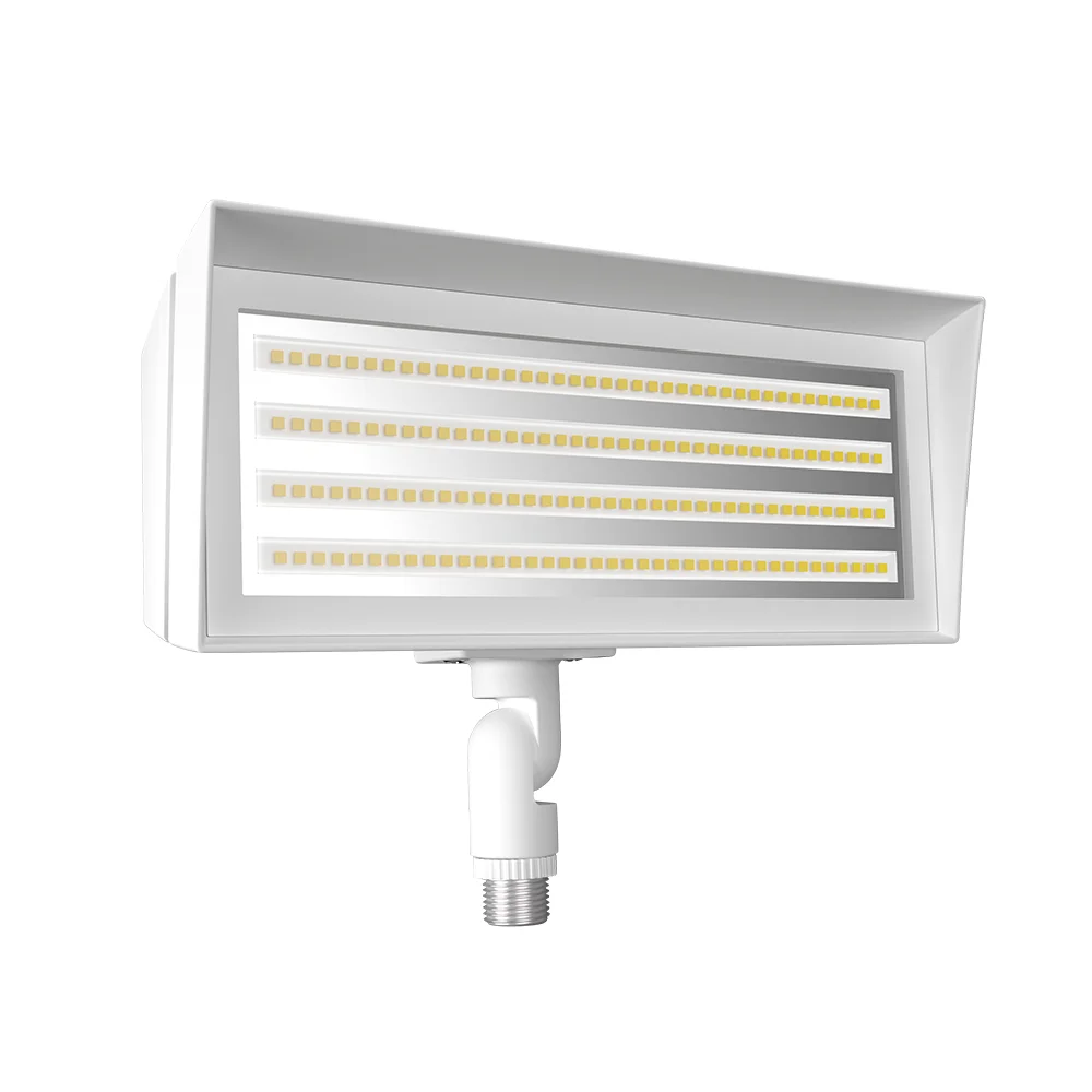 [RAB Lighting] FFLEDXSW