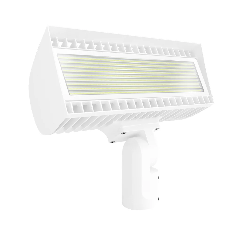 [RAB Lighting] FXLEDLSFW/480