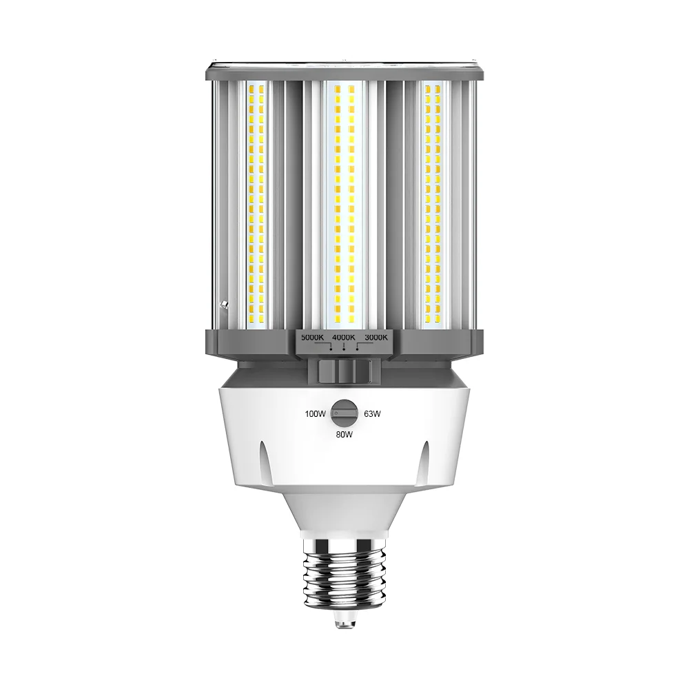 [RAB Lighting] HIDFA-100S-EX39-8CCT-BYP/5SP