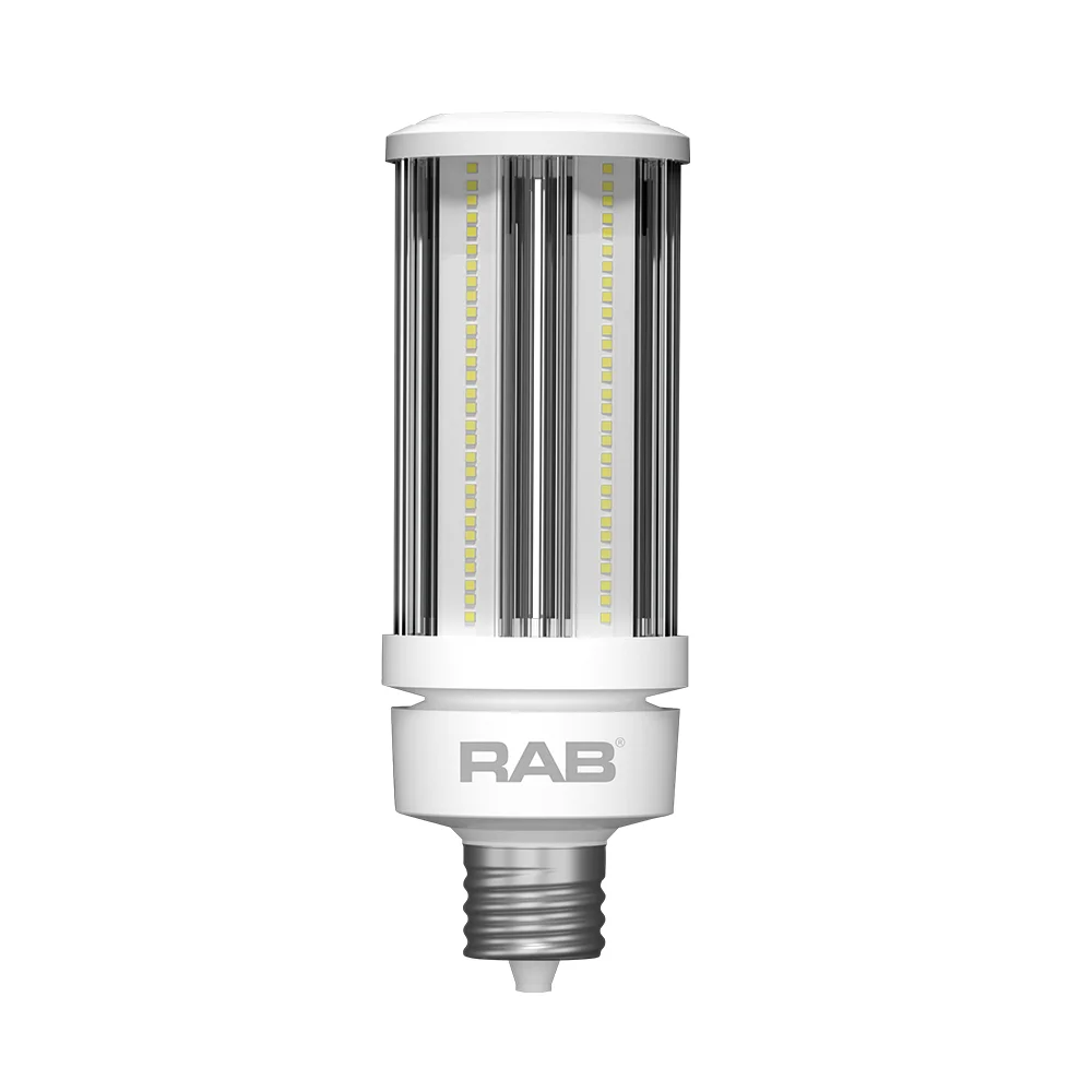 [RAB Lighting] HID-50-EX39-850-BYP-PT-ECO