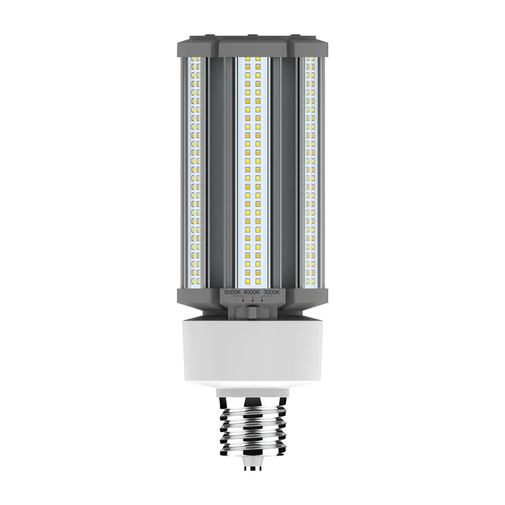 [RAB Lighting] HID-54-EX39-8CCT-BYP/5SP/480V