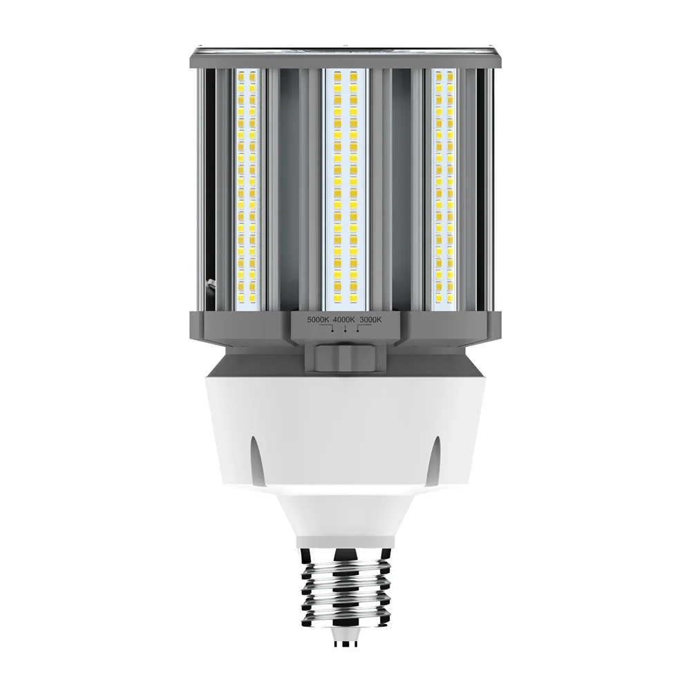 [RAB Lighting] HID-80-EX39-8CCT-BYP/5SP/480V