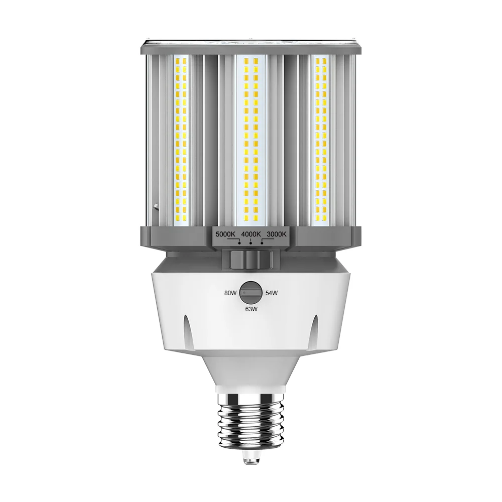 [RAB Lighting] HIDFA-80S-EX39-8CCT-BYP/5SP