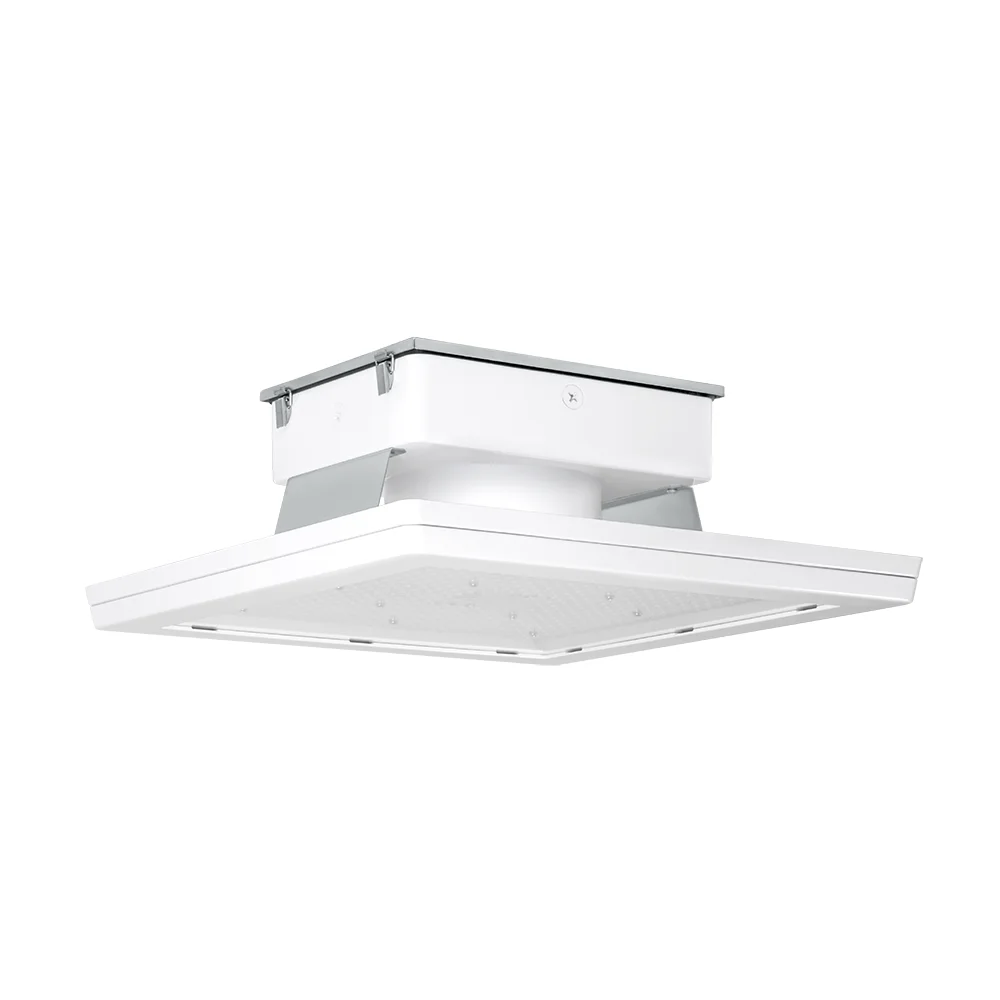 [RAB Lighting] MASI20-200NW/D10