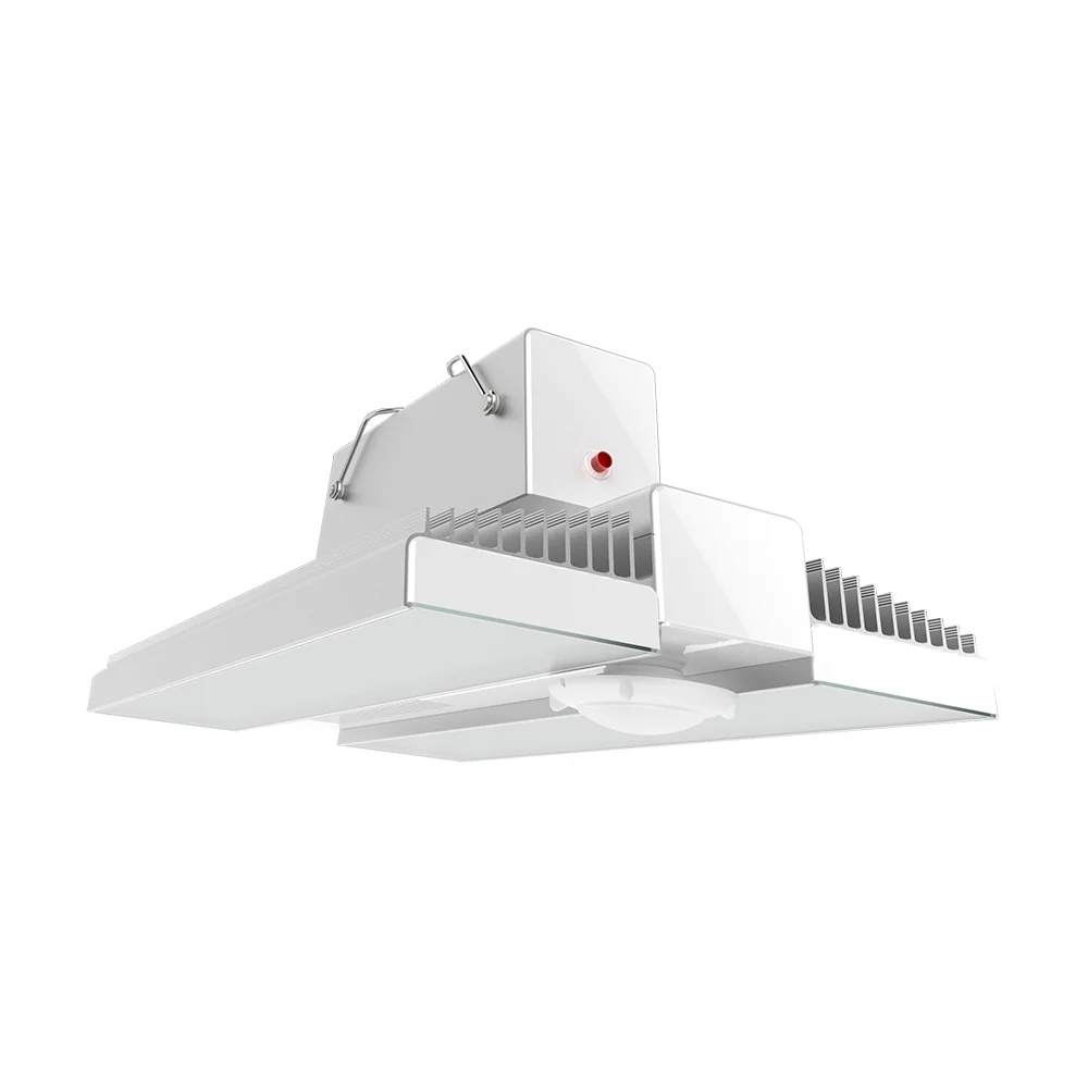 [RAB Lighting] RAIL150N/PIR/E