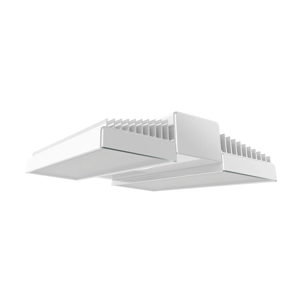 [RAB Lighting] RAIL90N/MVS