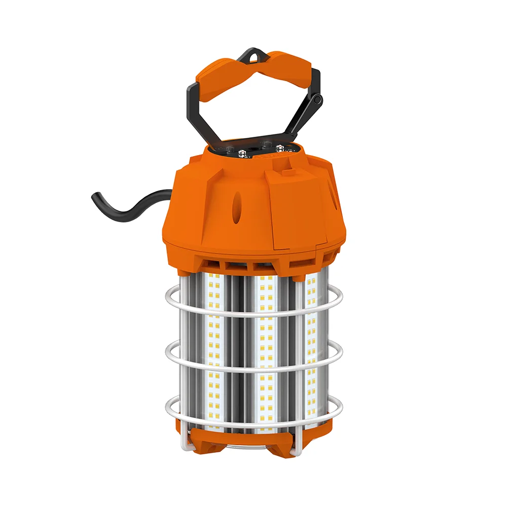 [RAB Lighting] TEMP-100-850