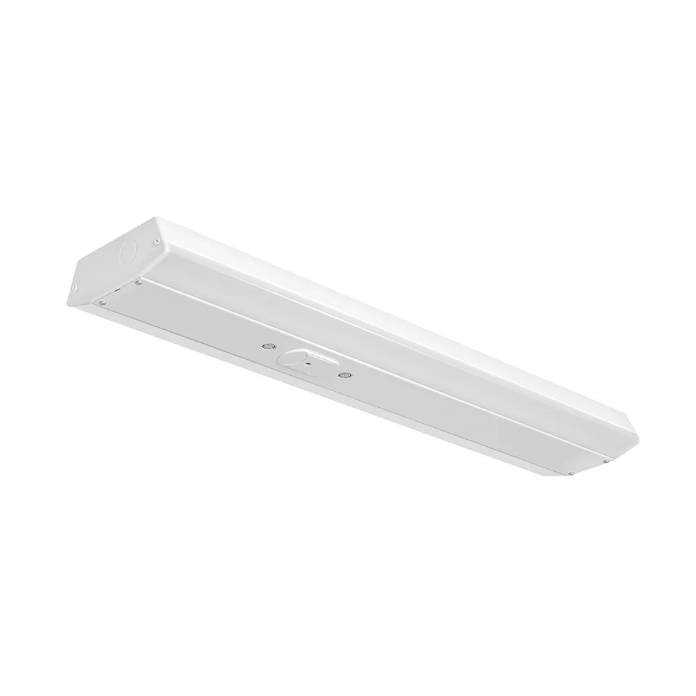 [RAB Lighting] TSLED2-28N/D10/US/BL