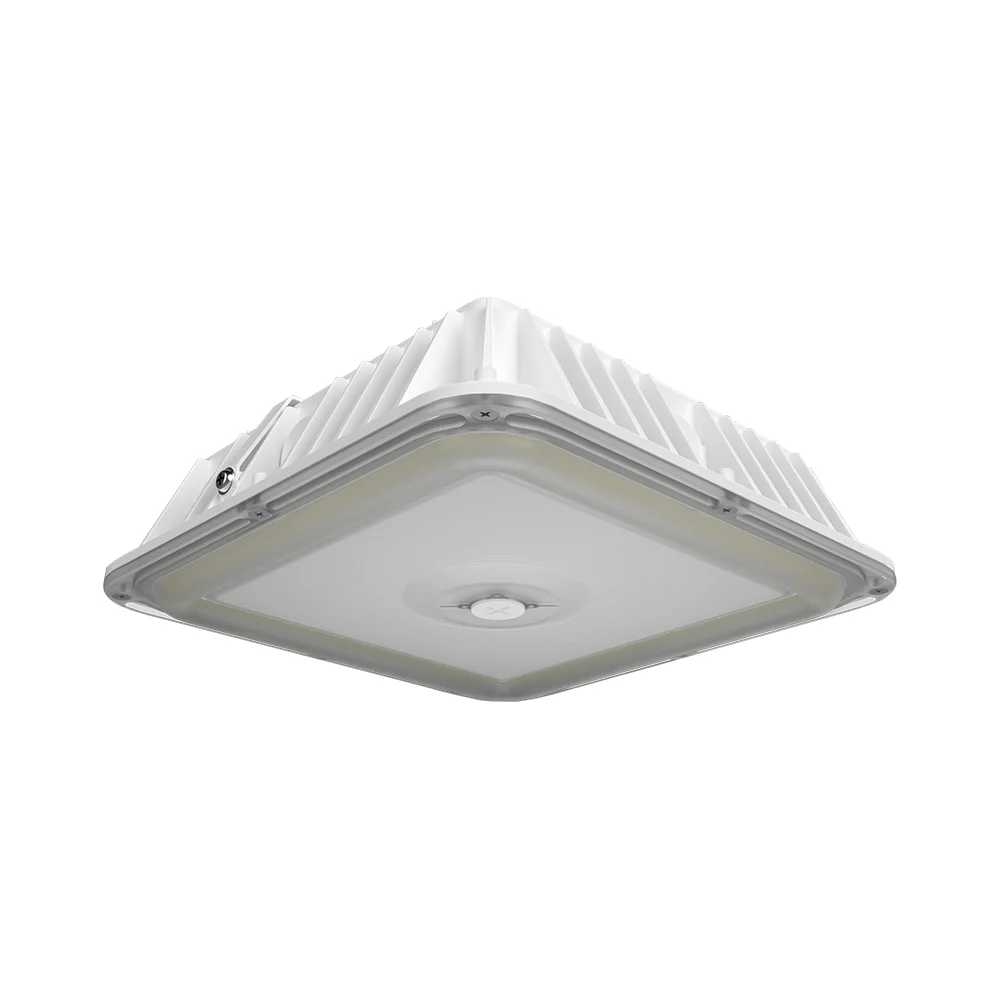 [RAB Lighting] VAN17-90W