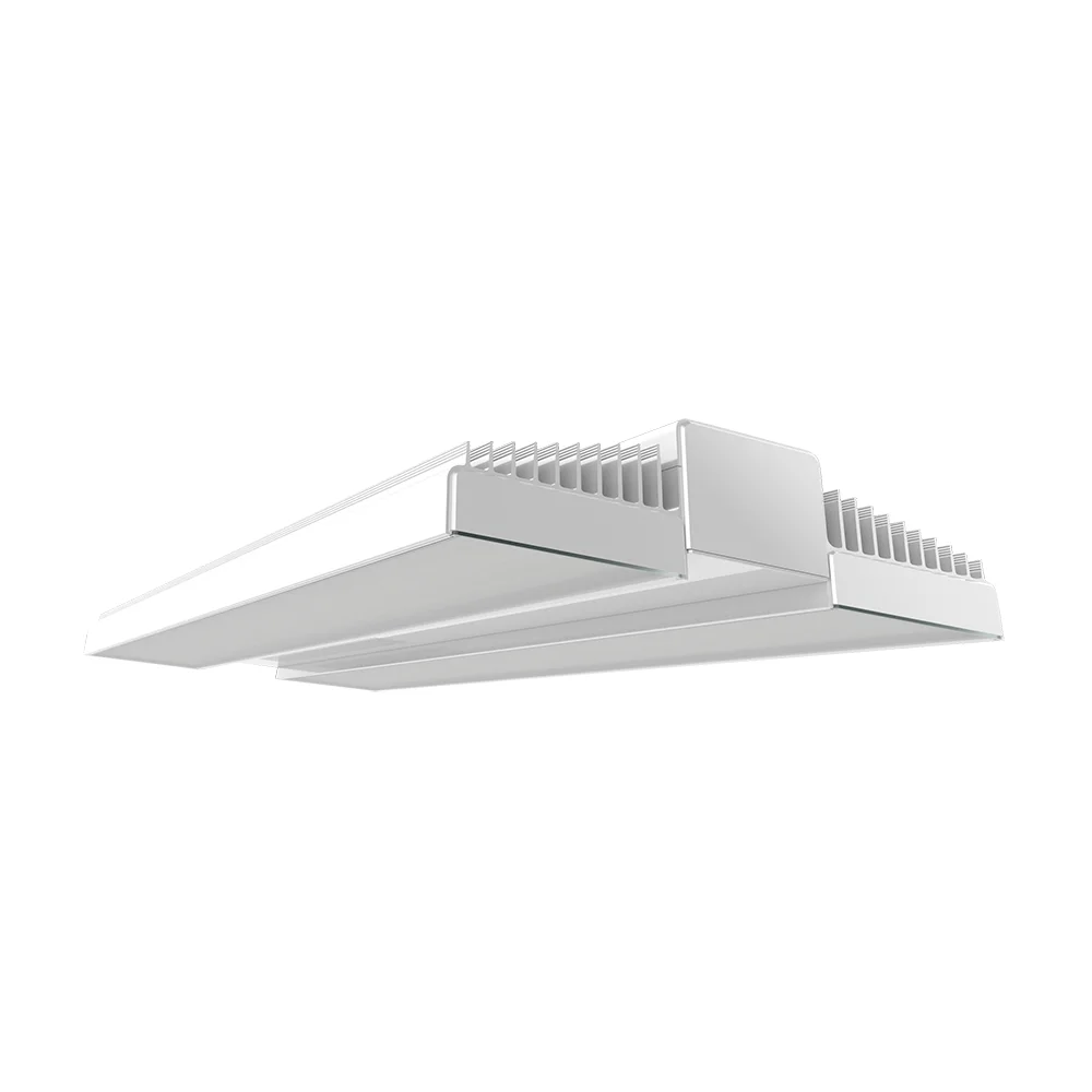 [RAB Lighting] RAIL225