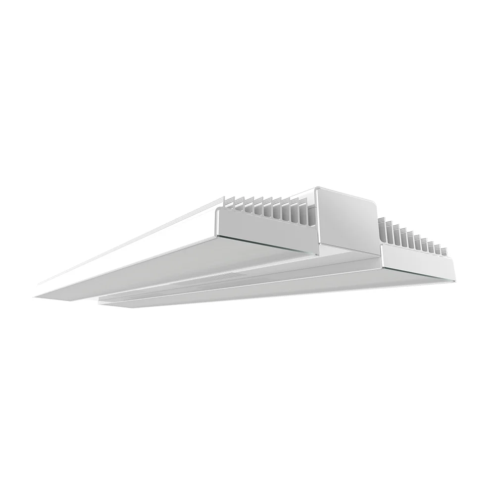 [RAB Lighting] RAIL400N/MVS
