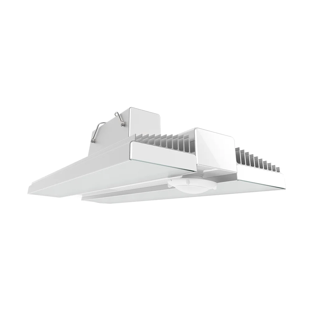 [RAB Lighting] RAIL225N/PIR/E