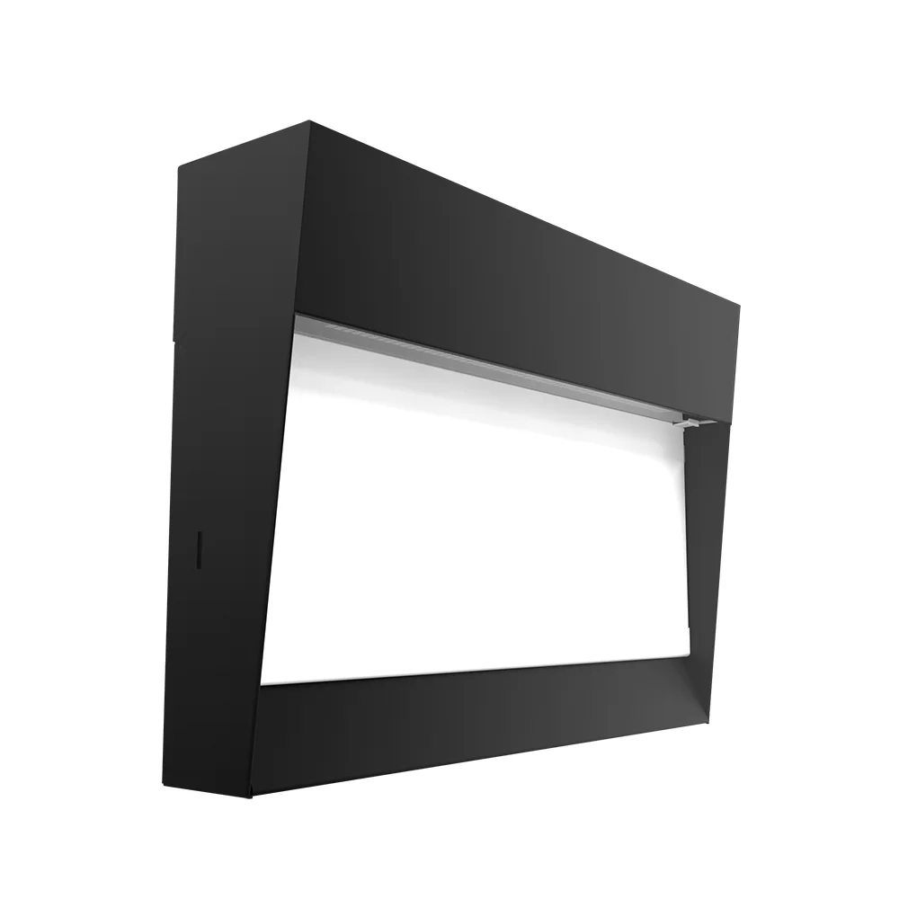 [RAB Lighting] W17-55L