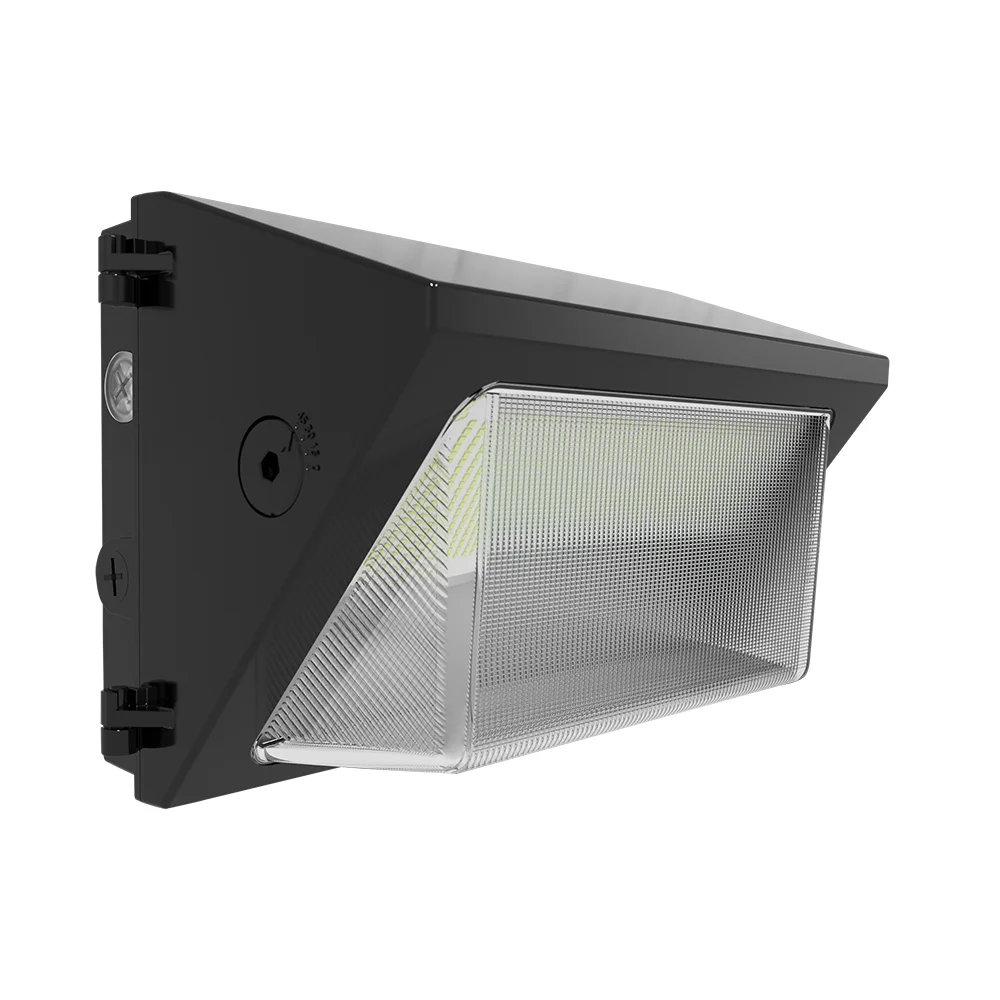 [RAB Lighting] W22-M-100