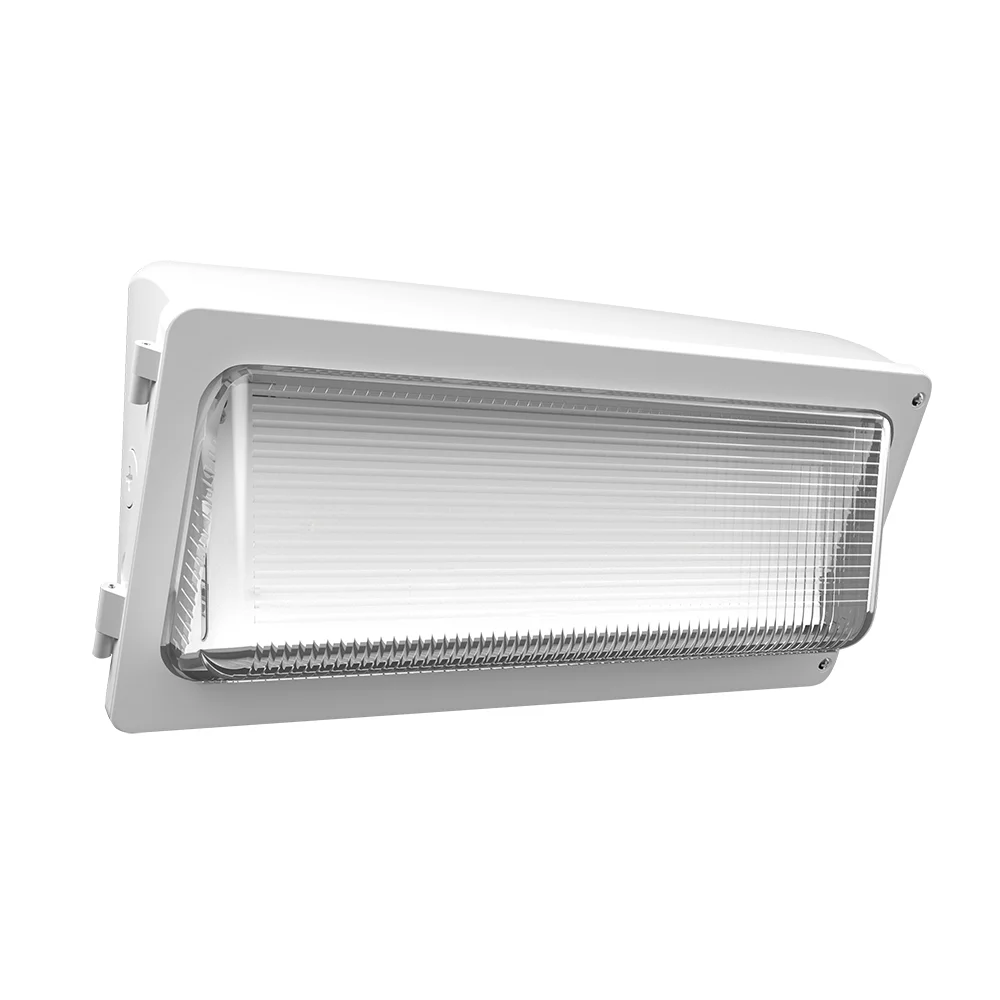 [RAB Lighting] WPX3W/MVS