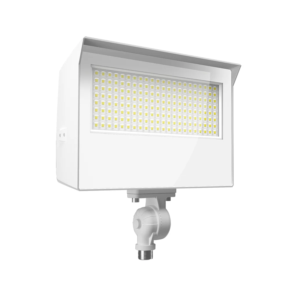 [RAB Lighting] X22-80W