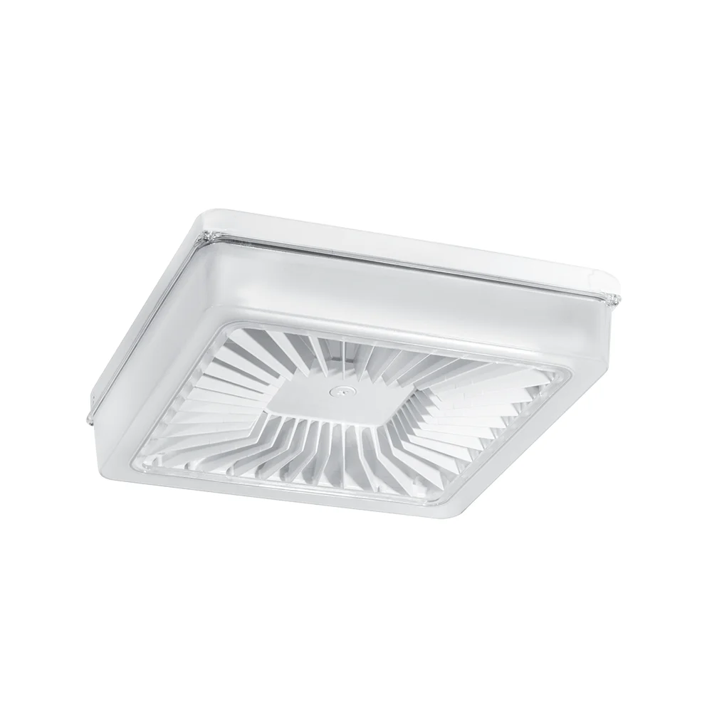 [RAB Lighting] PRT80W