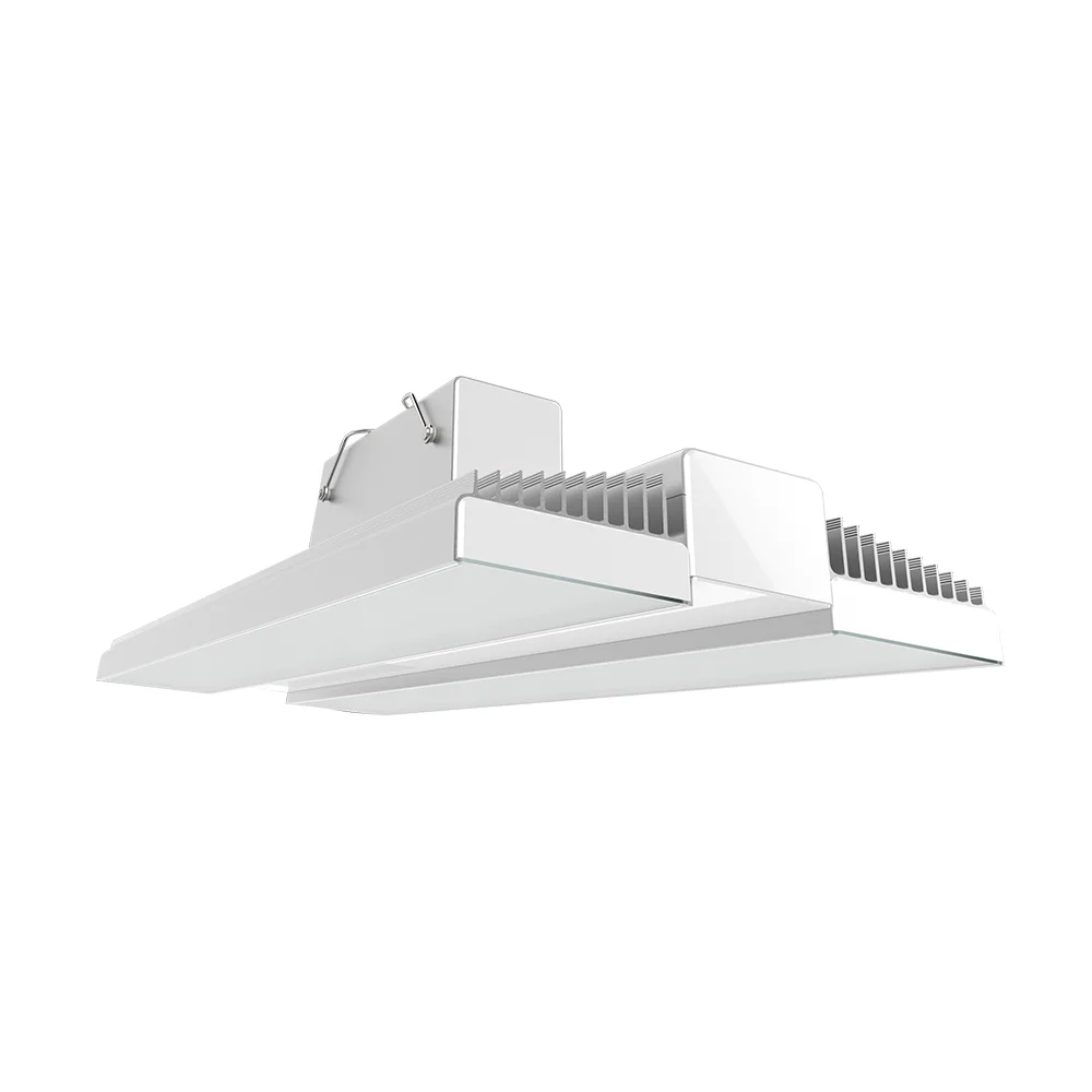 [RAB Lighting] RAIL225/E