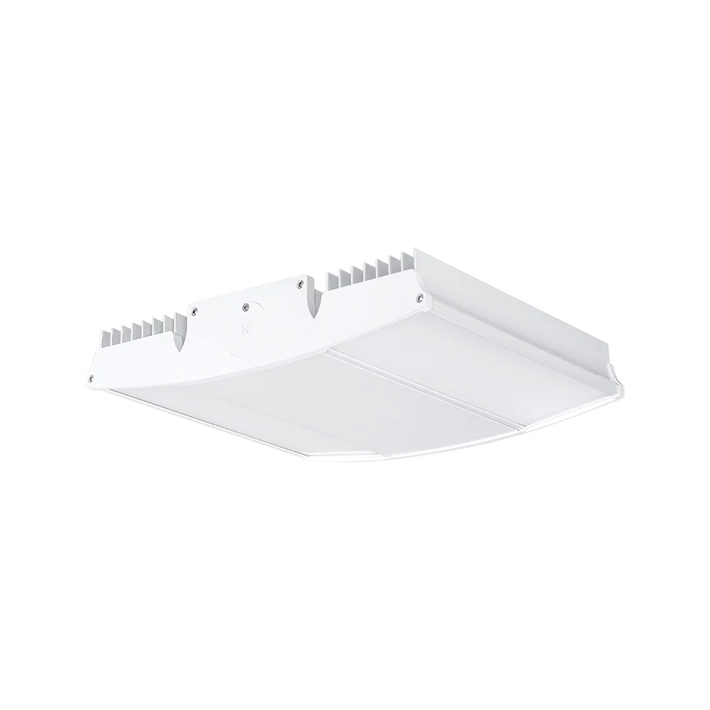 [RAB Lighting] RAIL95W/D10/8C