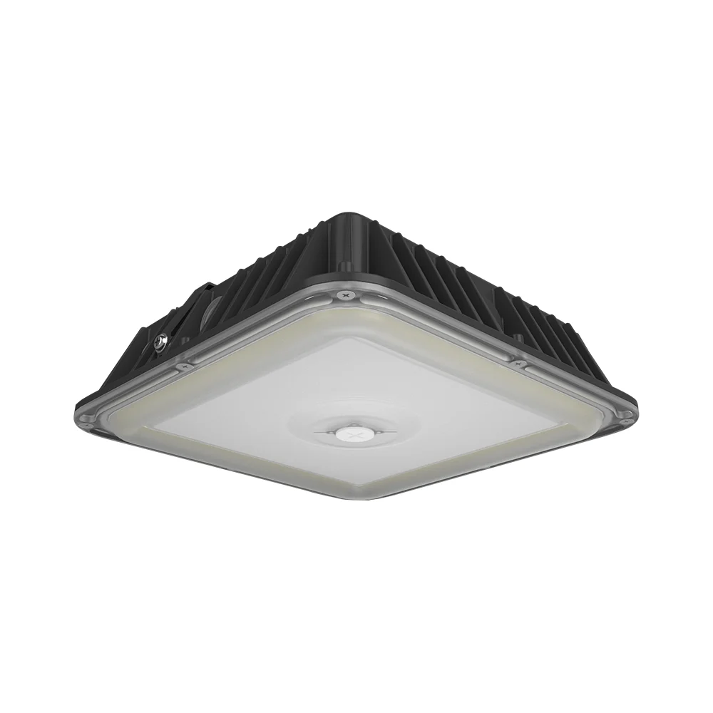 [RAB Lighting] VAN17-60