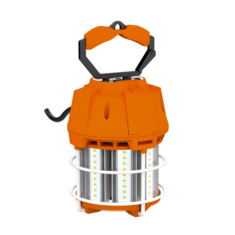 [RAB Lighting] TEMP-60-850