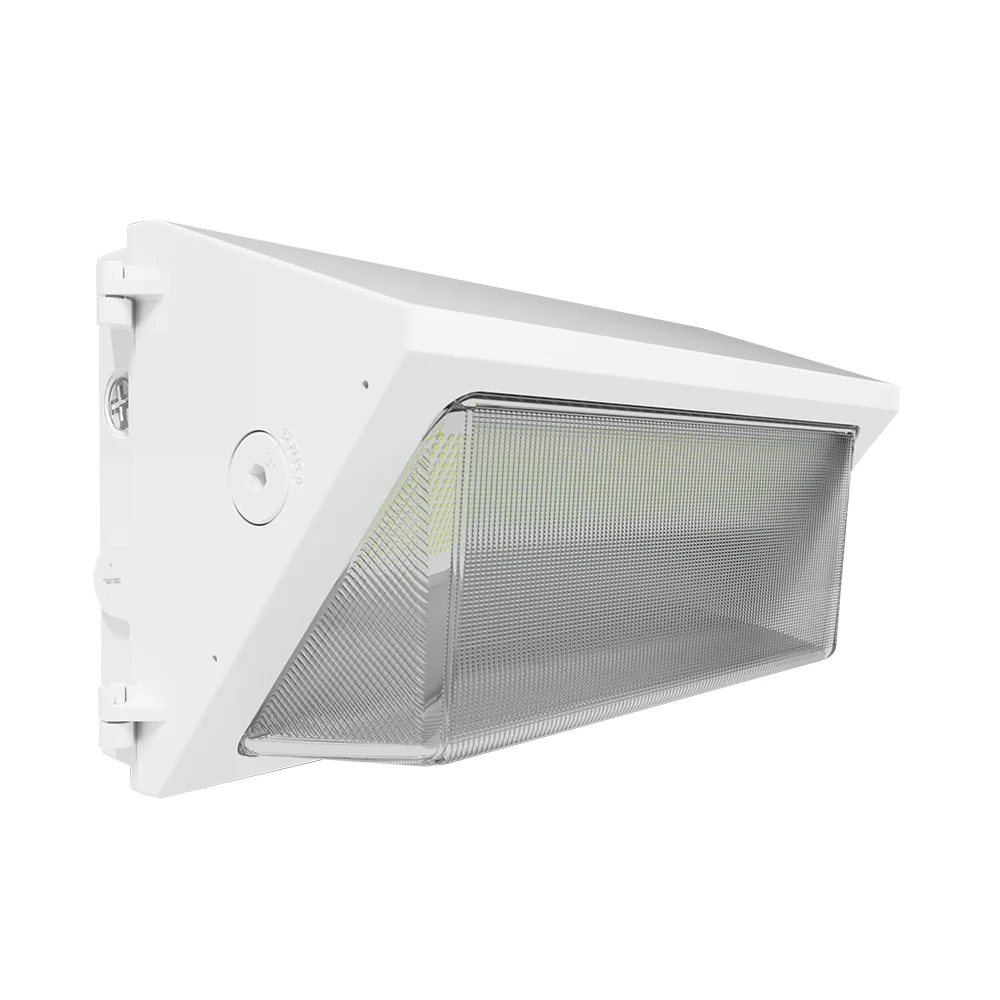 [RAB Lighting] W22-L-150W