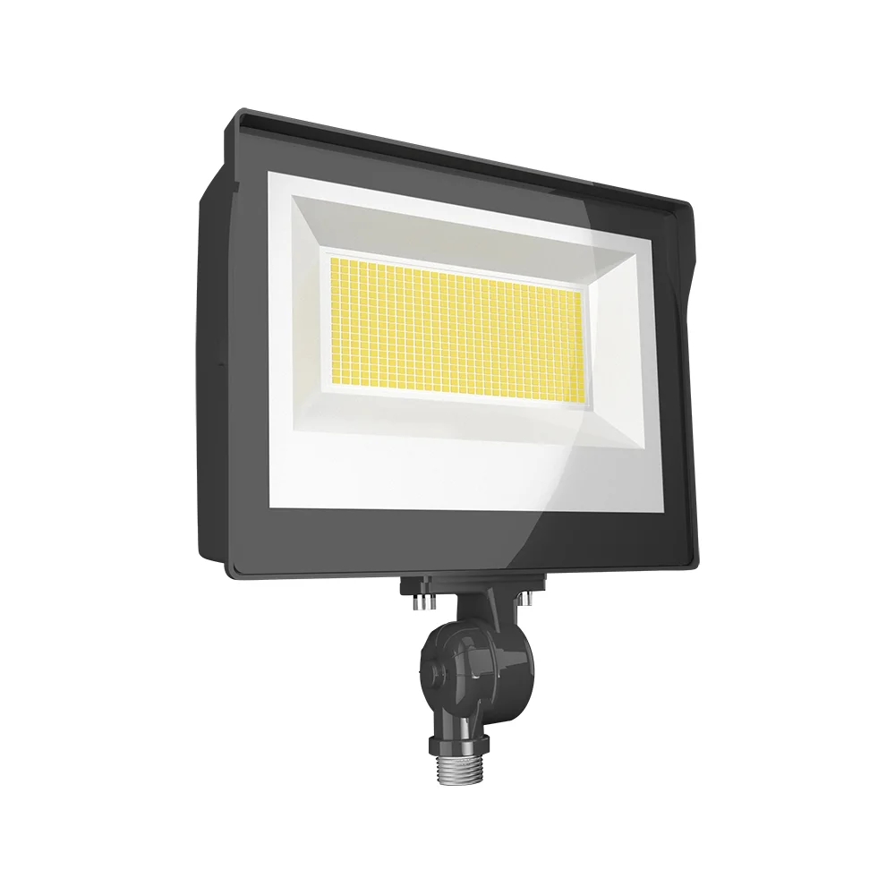 [RAB Lighting] X17XFU80