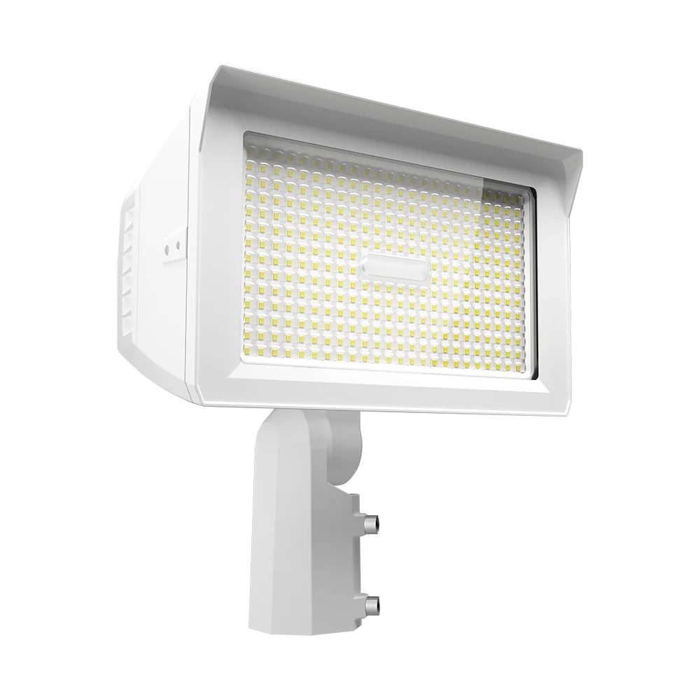 [RAB Lighting] X22-150W/480