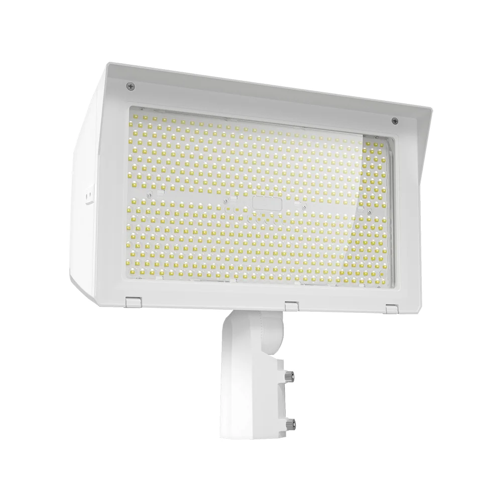 [RAB Lighting] X22-250W/480