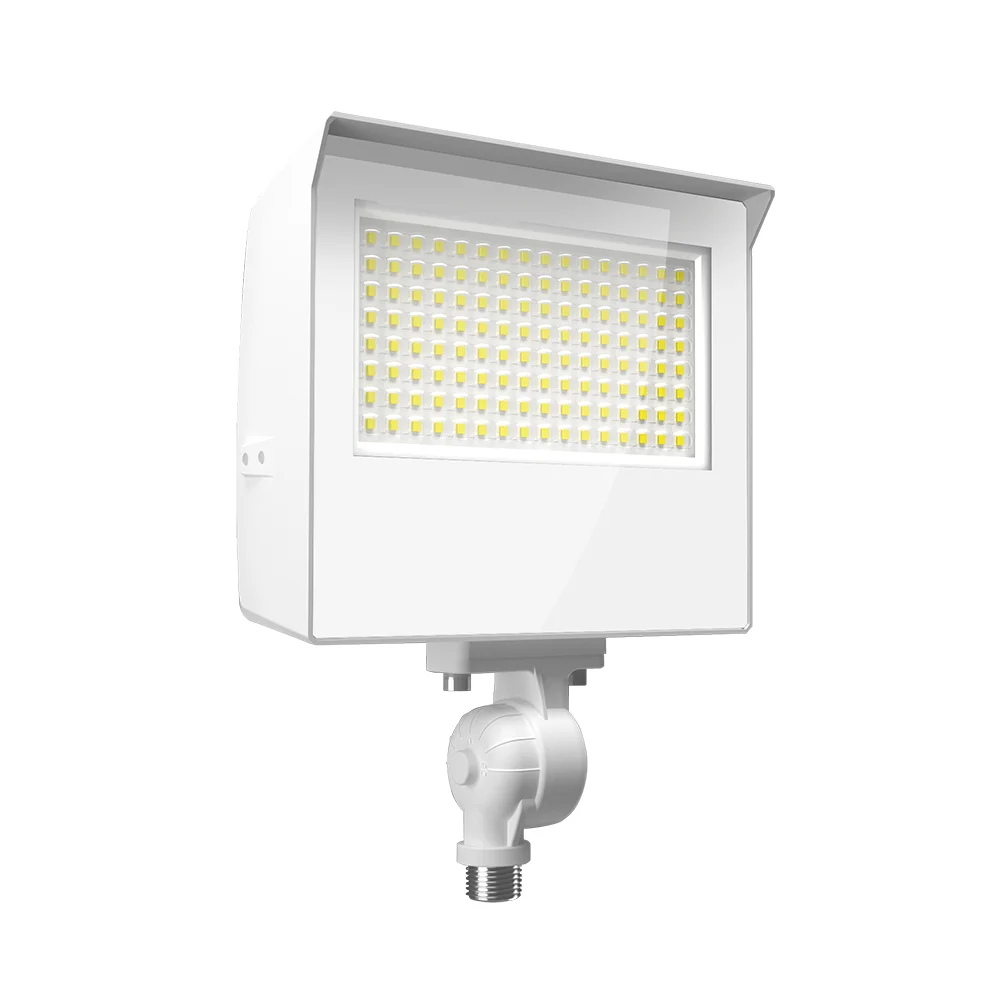 [RAB Lighting] X22-60W