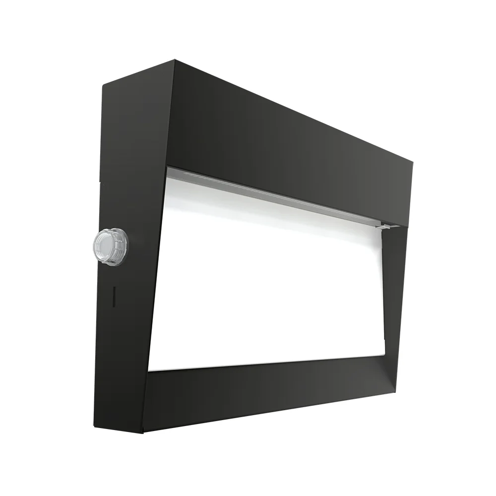 [RAB Lighting] W17-55LN/PCU