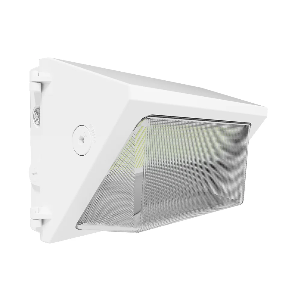 [RAB Lighting] W22-M-100W
