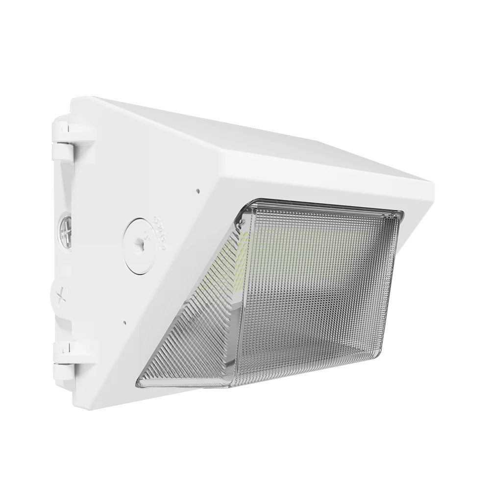 [RAB Lighting] W22-S-30W/E
