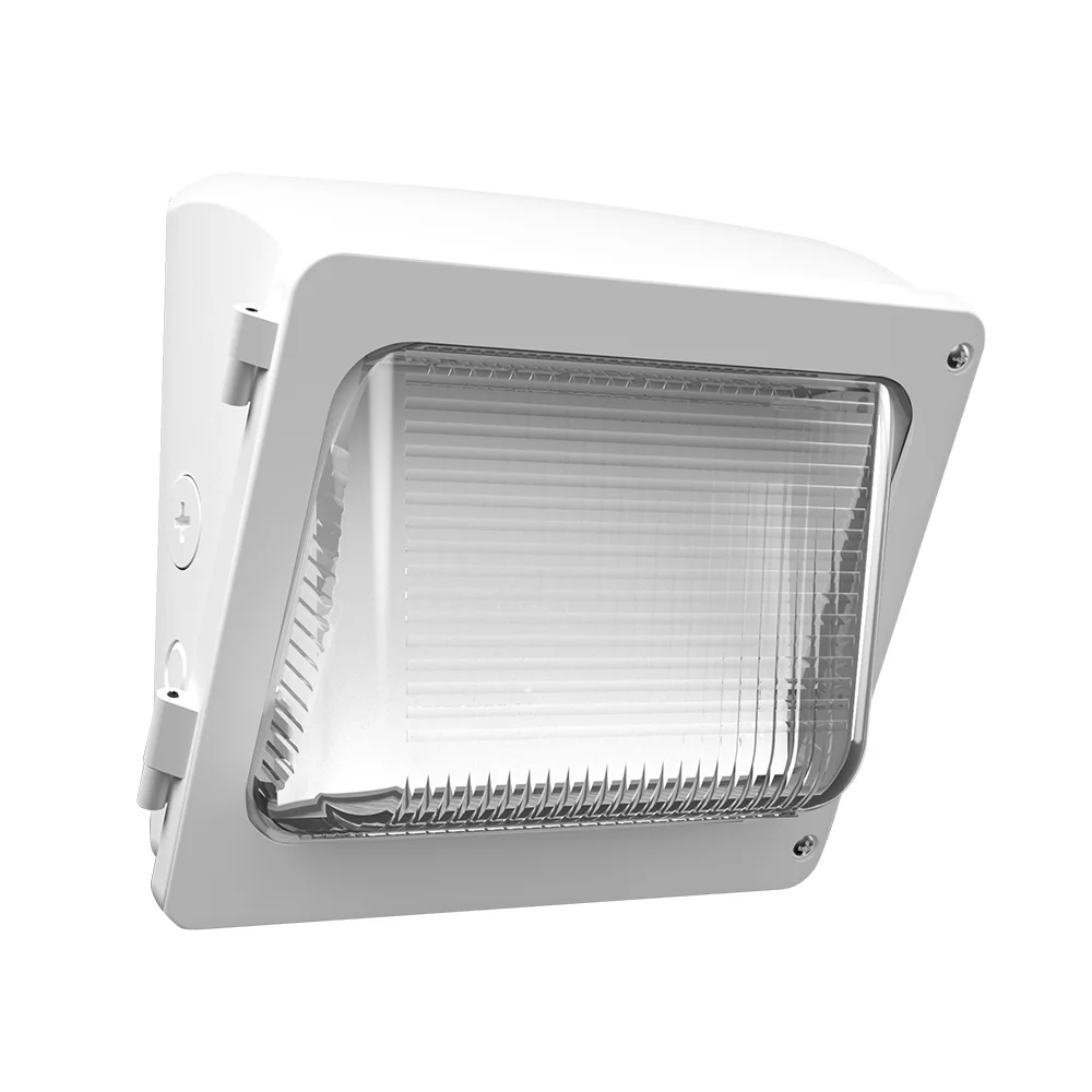 [RAB Lighting] WPX1W/MVS