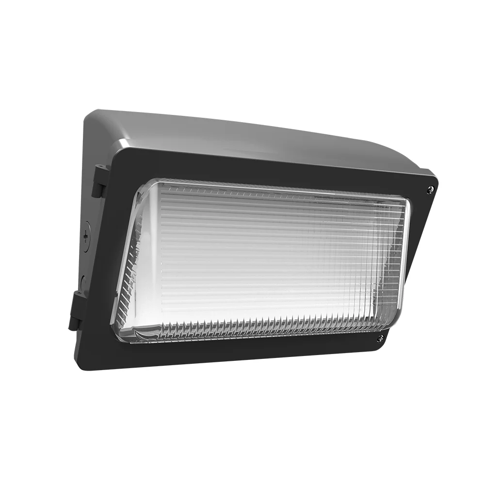 [RAB Lighting] WPX2/MVS