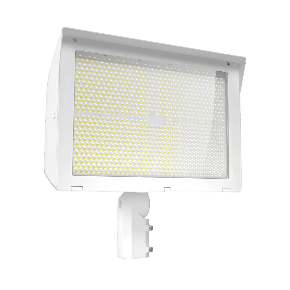 [RAB Lighting] X22-500W