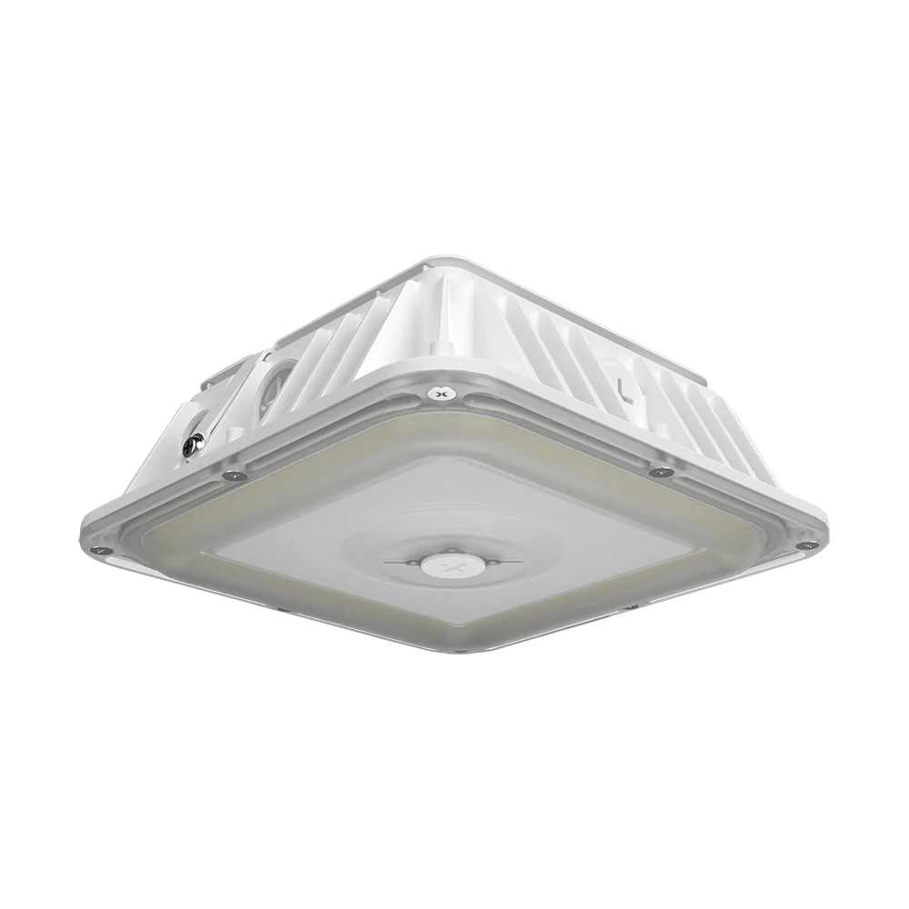 [RAB Lighting] VAN17-50W