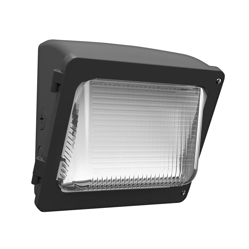 [RAB Lighting] WPX1/MVS